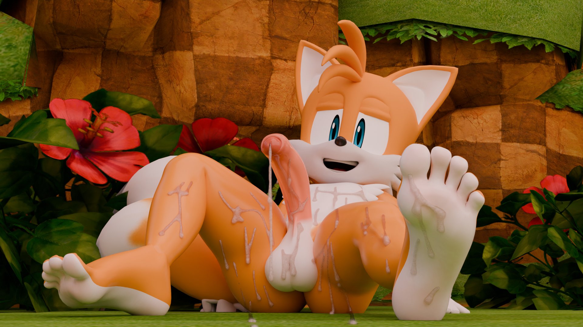 Miles Prower (Sega) Rule 34 Image
