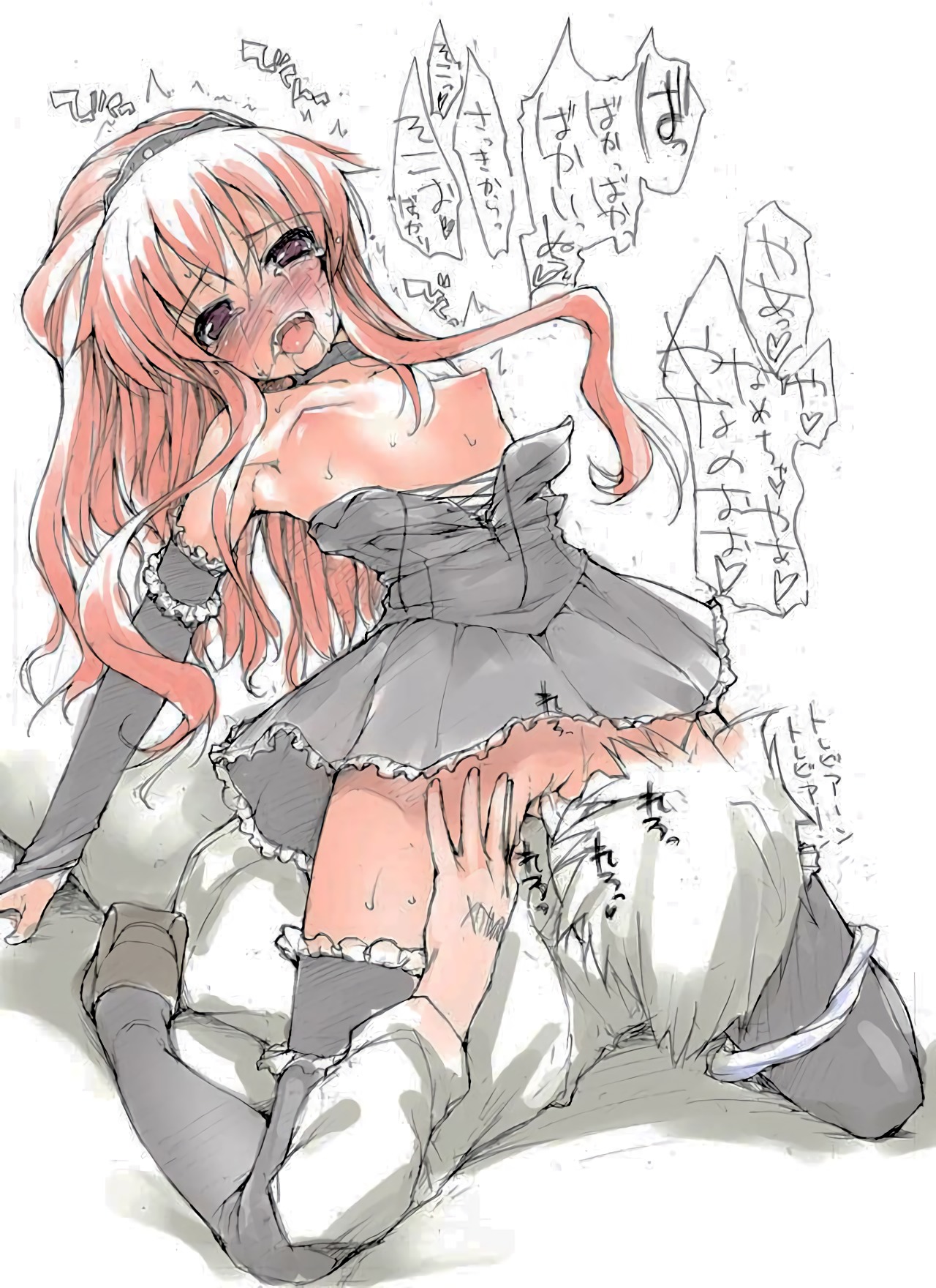 Louise Francoise Le Blanc De La Valliere (Zero No Tsukaima) Rule 34 Image