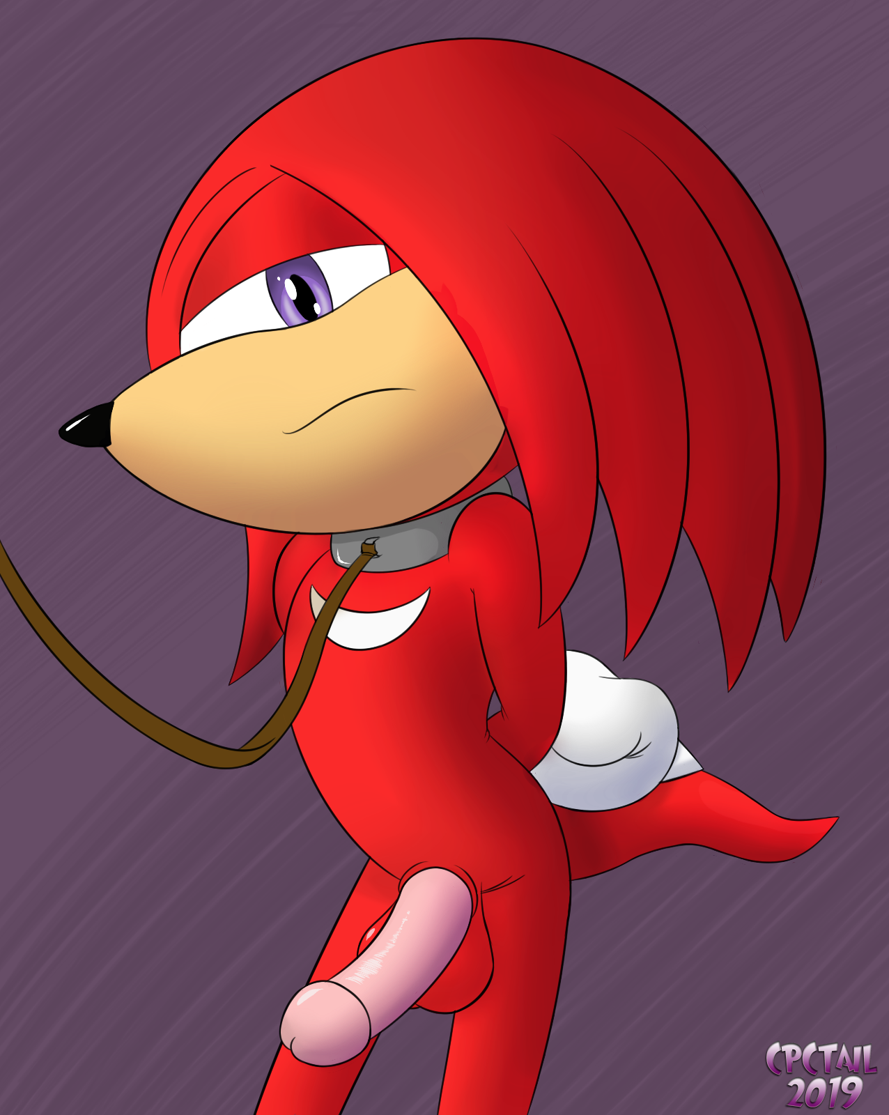 Knuckles The Echidna (Sonic (Series)) Rule 34 Image