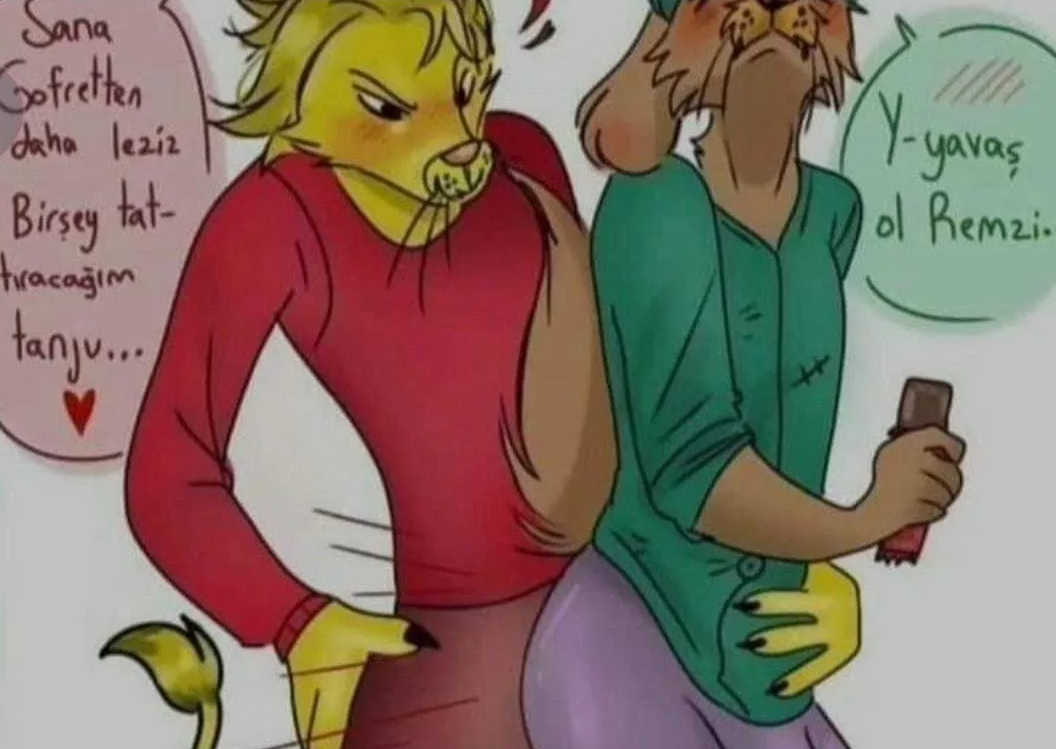 Porn Picture