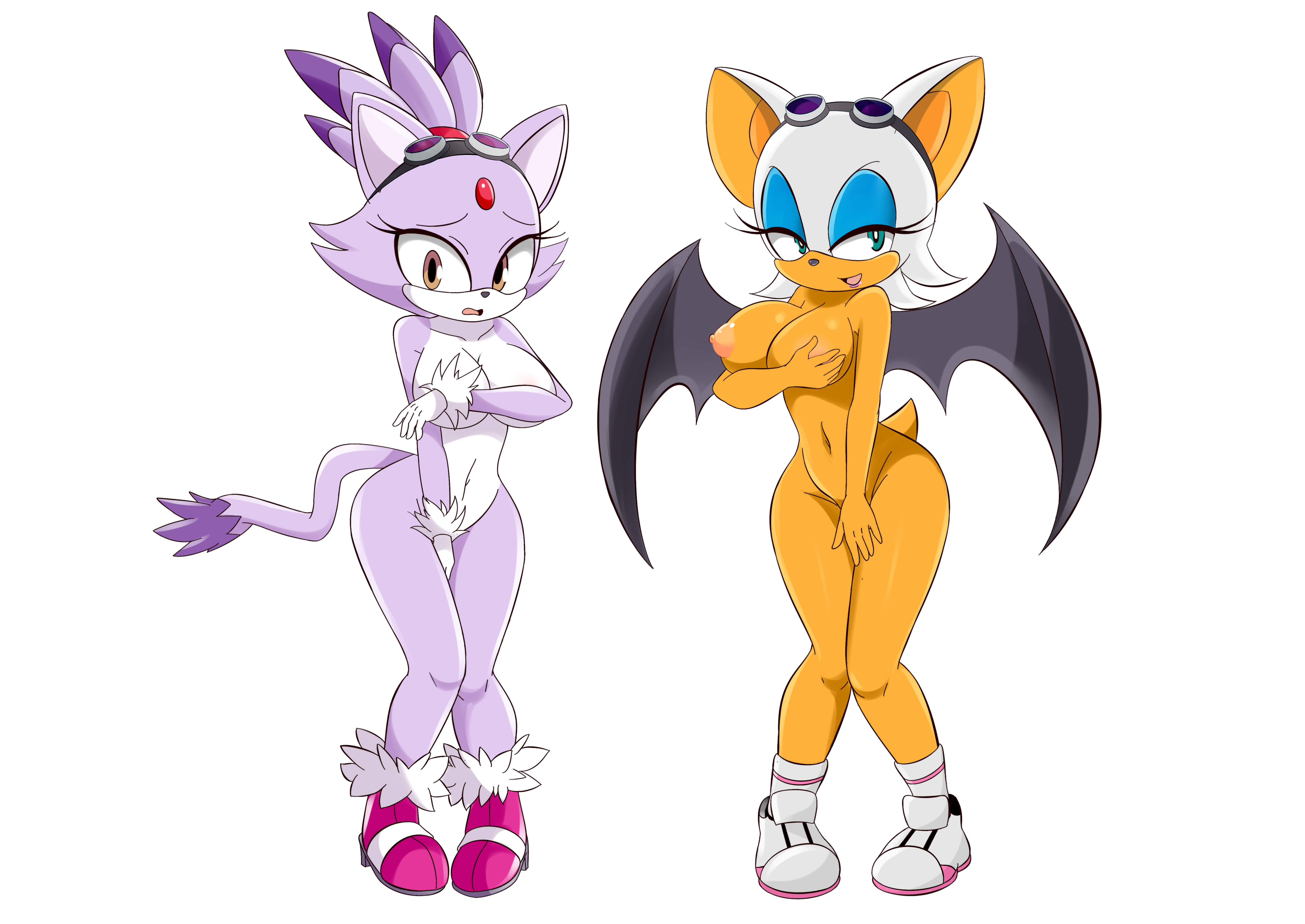 Blaze The Cat (Sega) Rule 34 Image