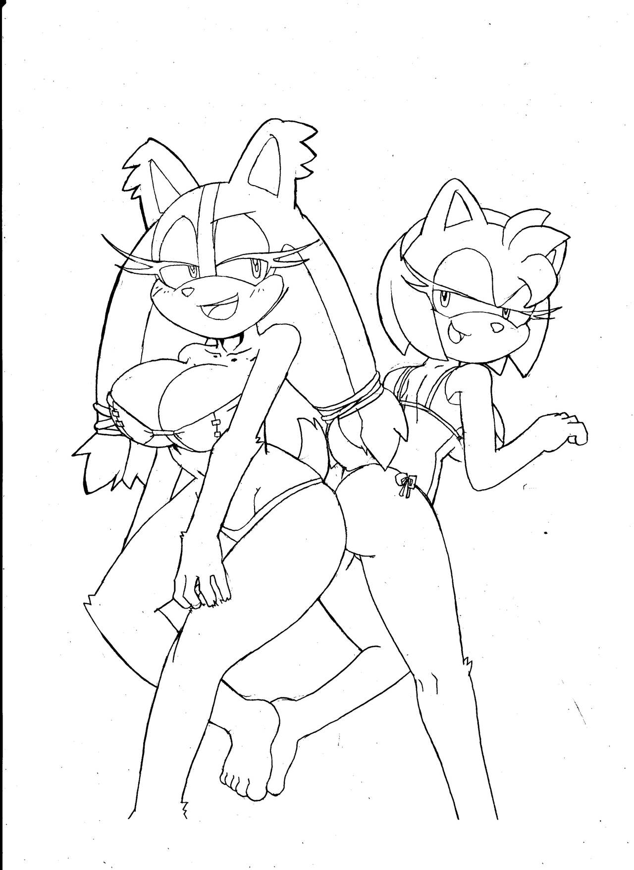 Sonic Sticks Hentai