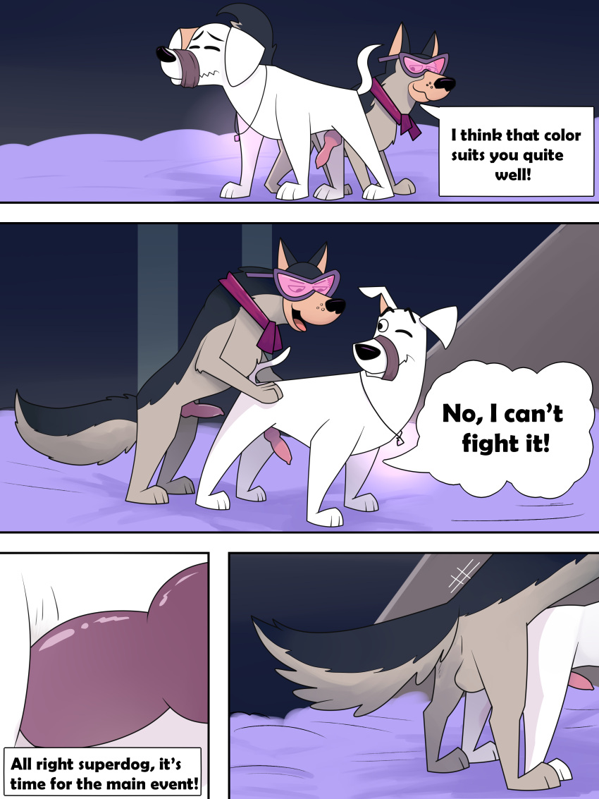 Krypto The Superdog Hentai