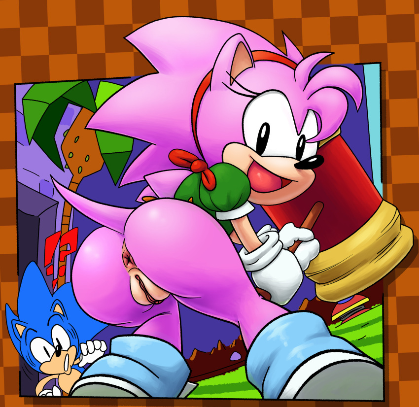 rule-34-1boy-1girls-amy-rose-anthro-anus-ass-asshole-bottomless