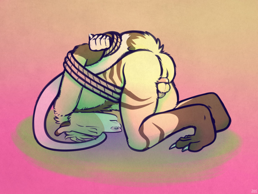 rule-34-4-toes-5-fingers-american-opossum-anthro-anus-artist-name-ass